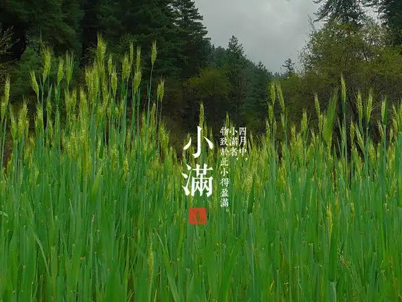 今日小滿，擎川與你一起靜待美滿！